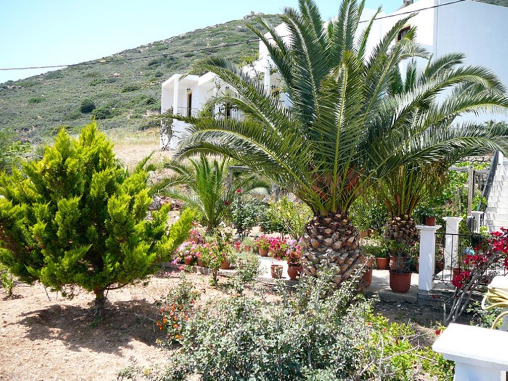 Hotel Porto Potha Telendos Luaran gambar